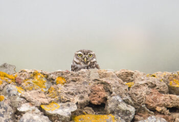 Fotografias tour alentejo_Prancheta 1 cópia 3