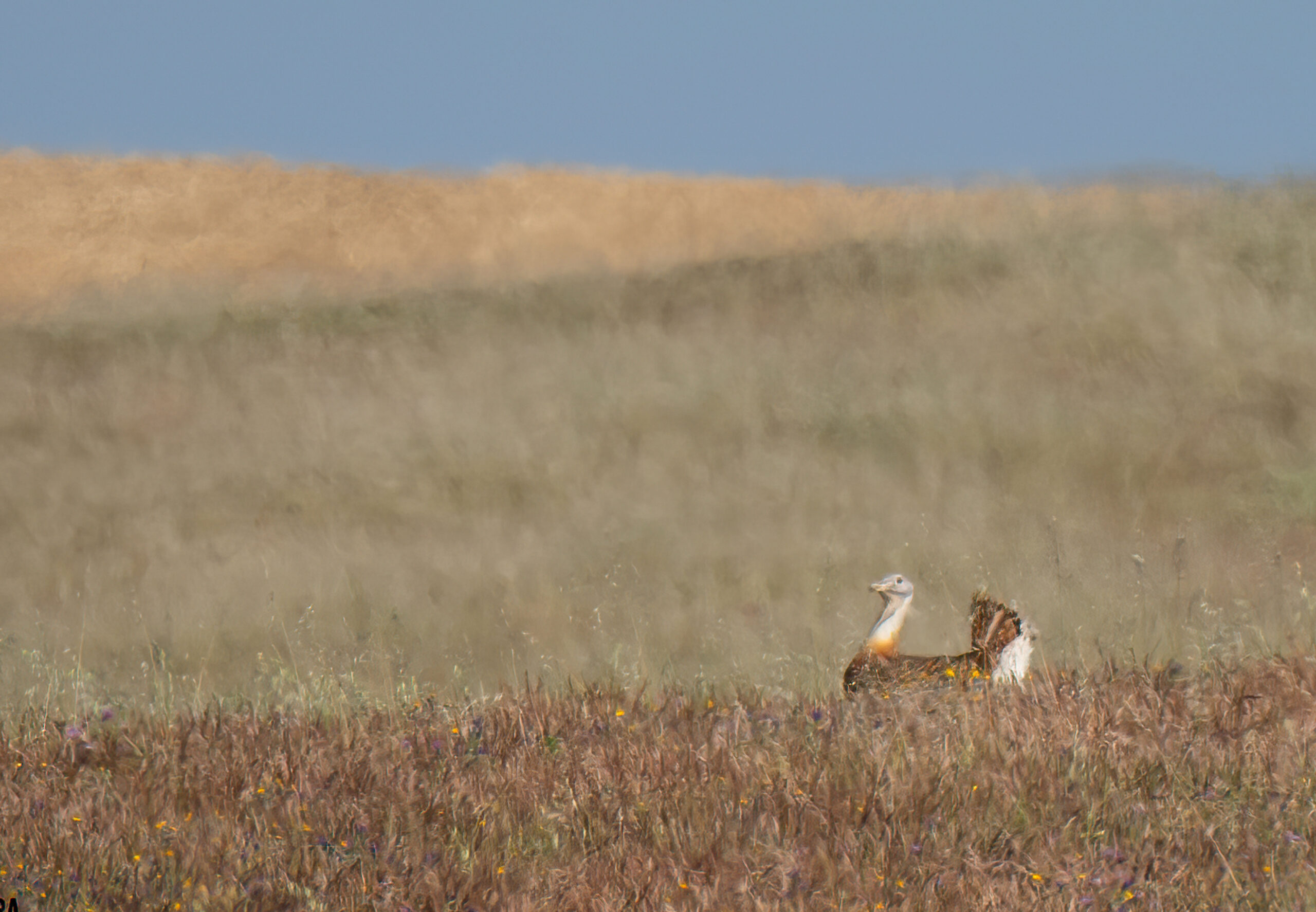 Fotografias tour alentejo_Prancheta 1 cópia 4