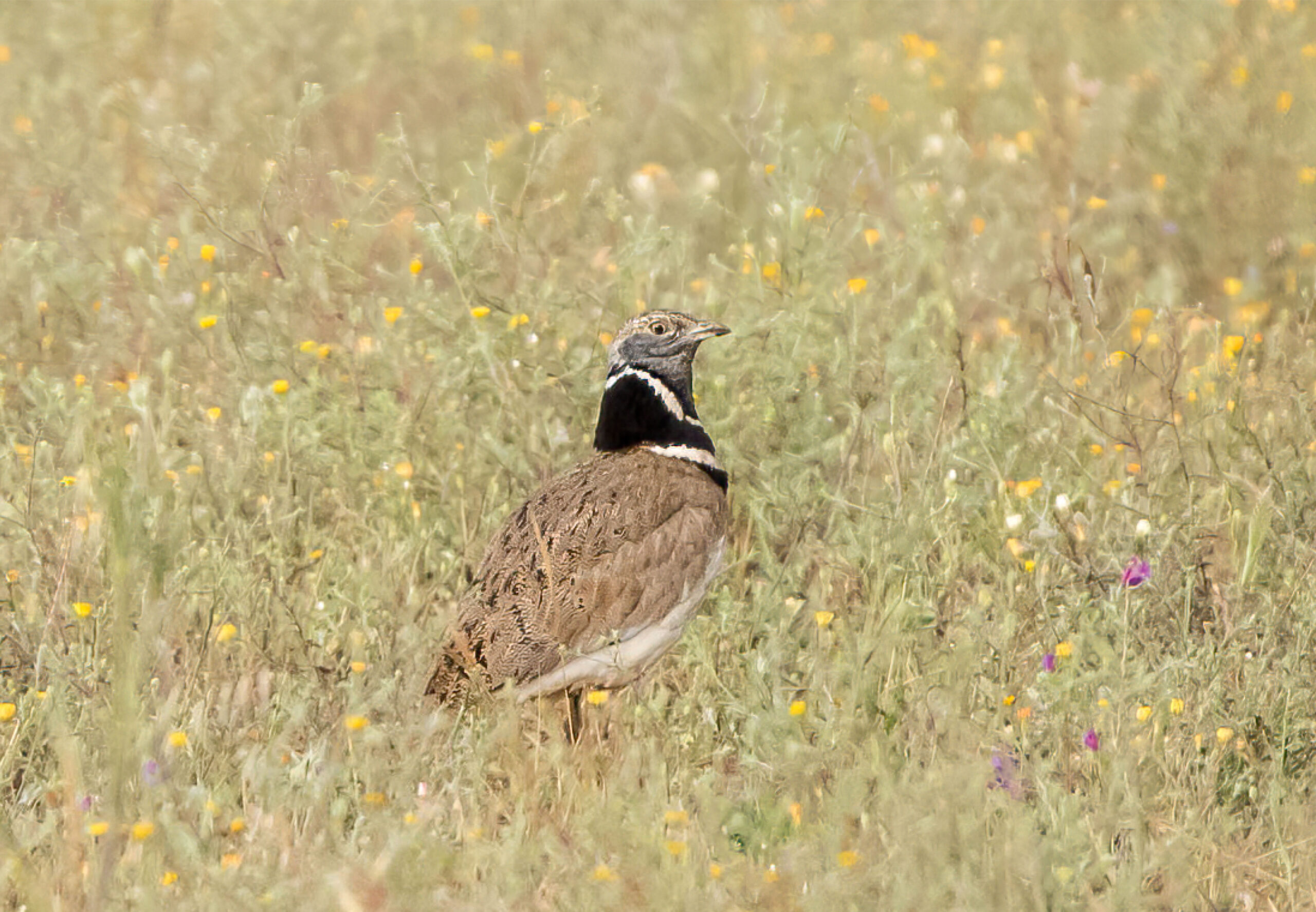 Fotografias tour alentejo_Prancheta 1 cópia 5