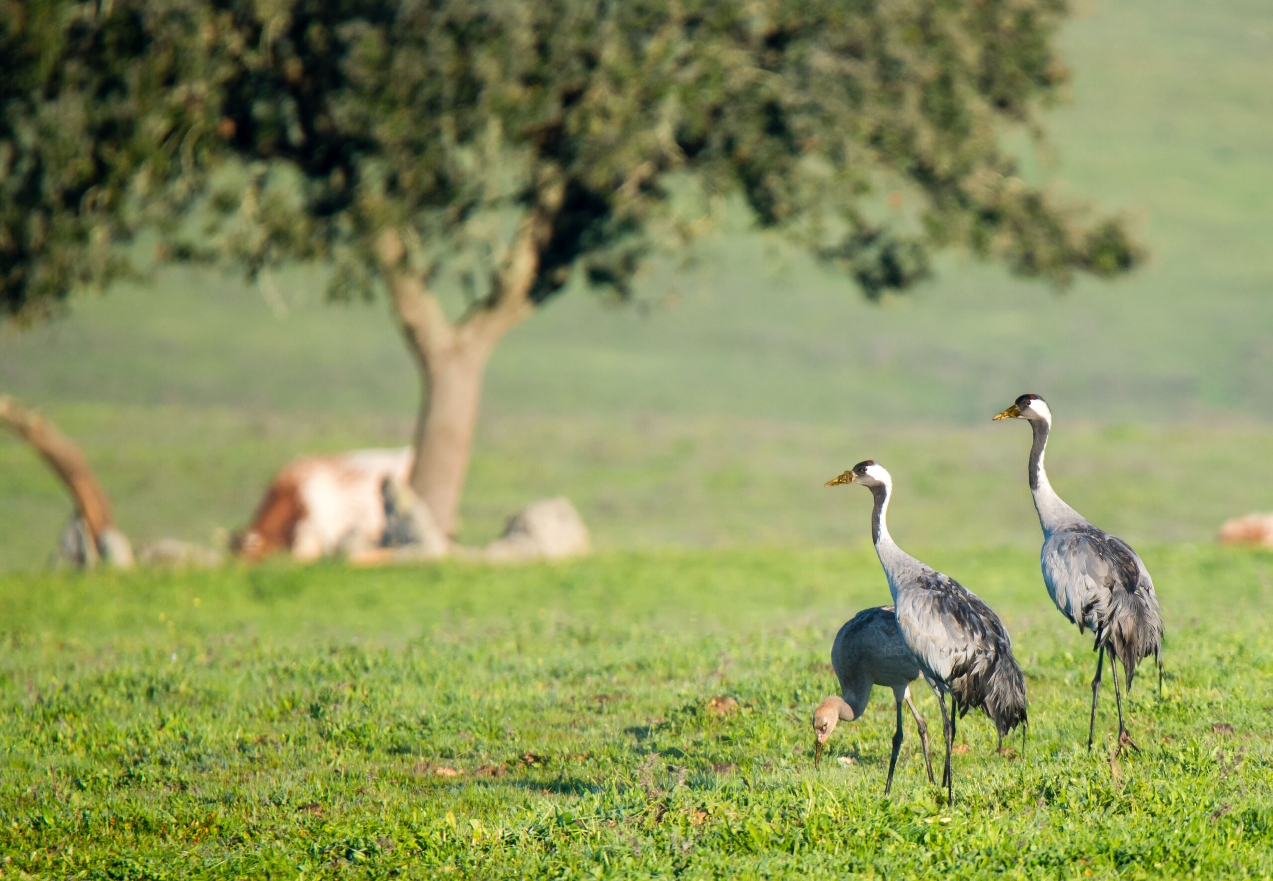 Fotografias tour alentejo_Prancheta 1 cópia