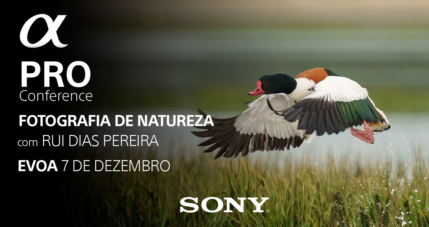 Sony Alpha Pro Conference | December 2024